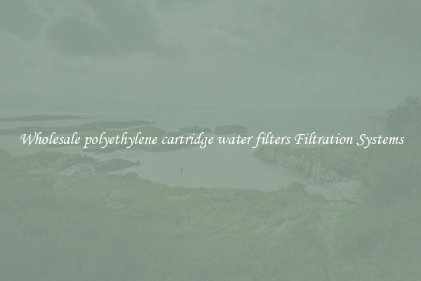 Wholesale polyethylene cartridge water filters Filtration Systems