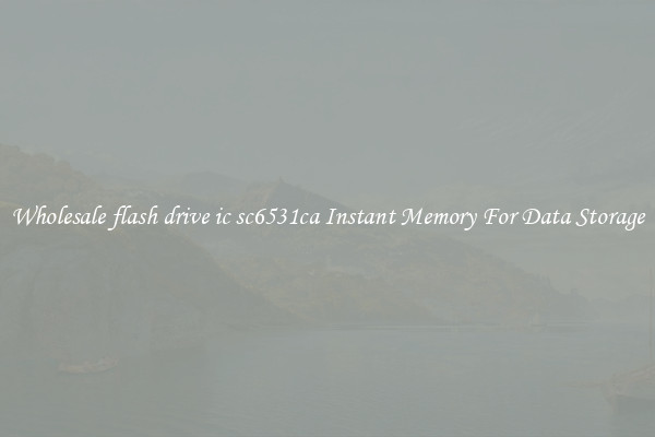 Wholesale flash drive ic sc6531ca Instant Memory For Data Storage