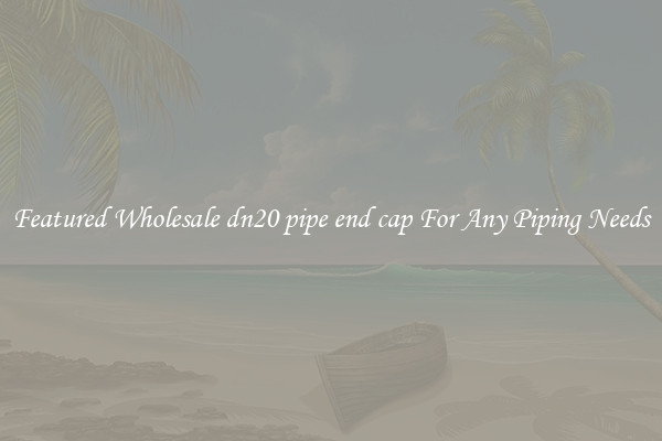 Featured Wholesale dn20 pipe end cap For Any Piping Needs
