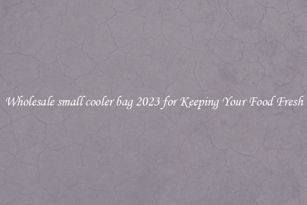 Wholesale small cooler bag 2023 for Keeping Your Food Fresh