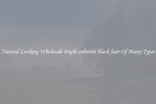 Natural Looking Wholesale bright colorant black hair Of Many Types