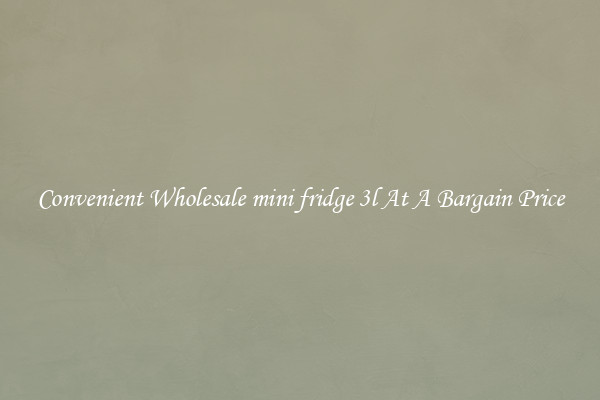 Convenient Wholesale mini fridge 3l At A Bargain Price