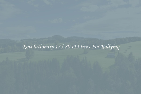 Revolutionary 175 80 r13 tires For Rallying