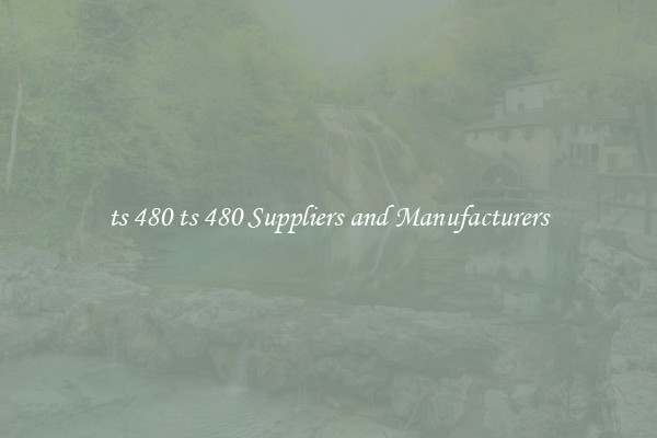 ts 480 ts 480 Suppliers and Manufacturers