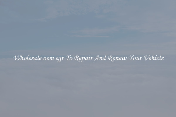 Wholesale oem egr To Repair And Renew Your Vehicle