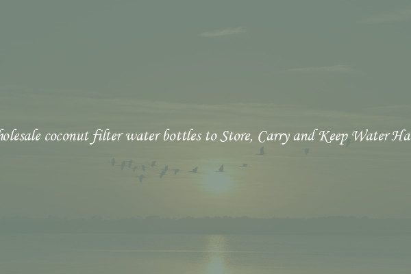 Wholesale coconut filter water bottles to Store, Carry and Keep Water Handy