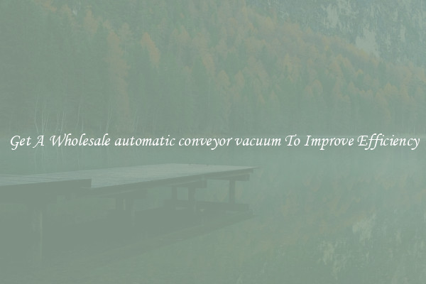 Get A Wholesale automatic conveyor vacuum To Improve Efficiency