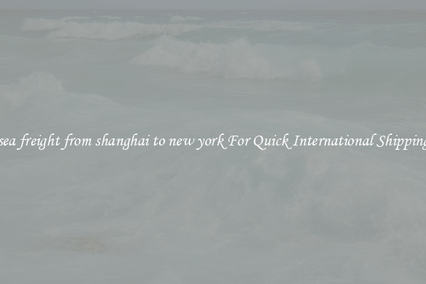 sea freight from shanghai to new york For Quick International Shipping