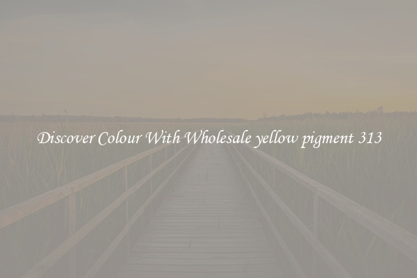 Discover Colour With Wholesale yellow pigment 313