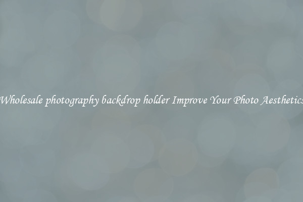 Wholesale photography backdrop holder Improve Your Photo Aesthetics