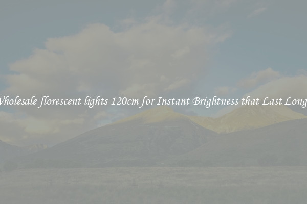 Wholesale florescent lights 120cm for Instant Brightness that Last Longer