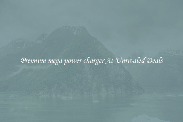 Premium mega power charger At Unrivaled Deals